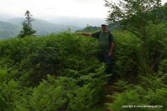 Batumi Mts.