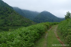 Batumi Mts.