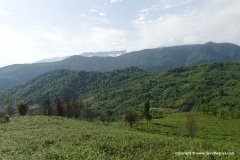 Batumi Mts.