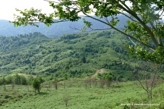 Batumi Mts.