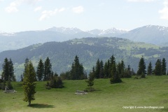 Lesser Caucasus