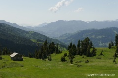 Lower Caucasus