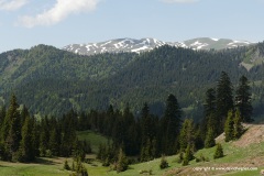 Lower Caucasus