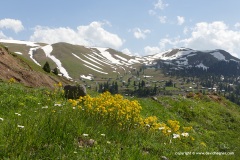 Lower Caucasus