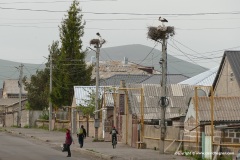 Armenian Highlands