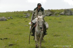 Armenian Highlands