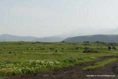 Armenian Highlands