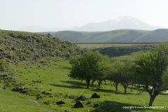 Armenian Highlands