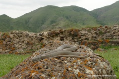 Near Vardzia