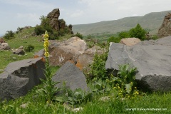 Near Vardzia