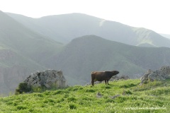 Near Vardzia