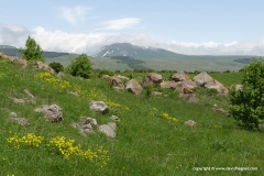 Lesser Caucasus