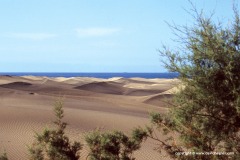 Near Maspalomas