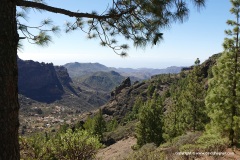 Roque Nublo