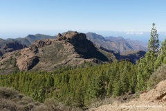 Roque Nublo