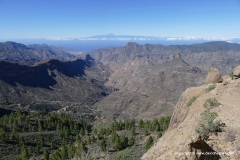 Roque Nublo