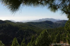Pico de las Nieves