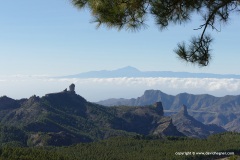 Pico de las Nieves