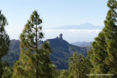 Pico de las Nieves