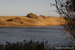 Las Dunas de Maspalomas