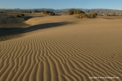 Las Dunas de Maspalomas