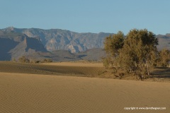 Las Dunas de Maspalomas