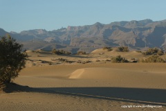 Las Dunas de Maspalomas