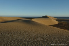 Las Dunas de Maspalomas