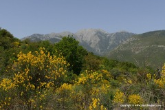 Mt. Parnon N.P.