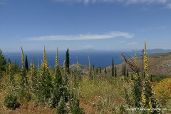 N of Areopoli Bay