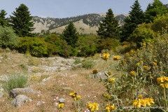 Near Feneos Valley