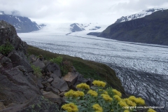 Skaftafellsjökull
