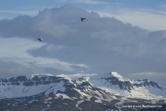 Borgarfjördur