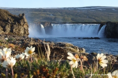 Godafoss