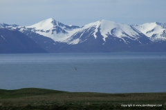 Near Husavík