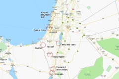 Visited places