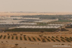 Arava Valley