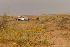 Northern Negev