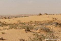 Northern Negev