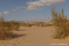 Arava Valley