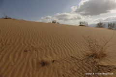 Arava Valley