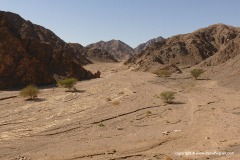 Eilat Mts.