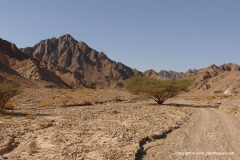 Eilat Mts.