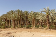 Arava Valley
