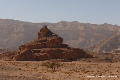 Timna