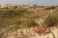 S of Tel Aviv