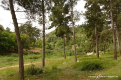Mt. Carmel