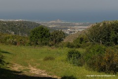 Mt. Carmel