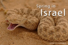 Israel 2018