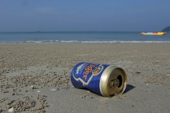 Tiger beer